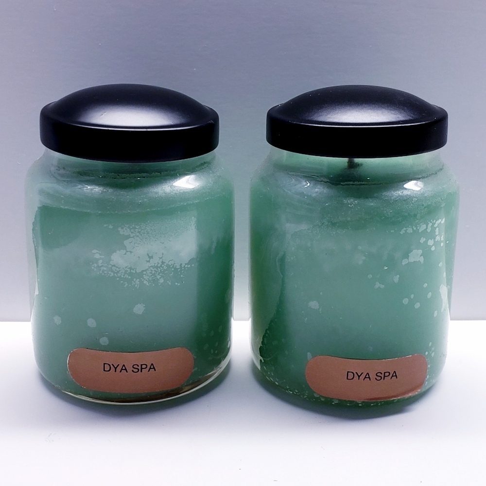 DAY SPA -A Cheerful Giver Baby Jar Single Wick Candle, 6 oz (2 pack)